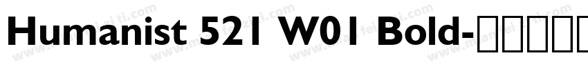 Humanist 521 W01 Bold字体转换